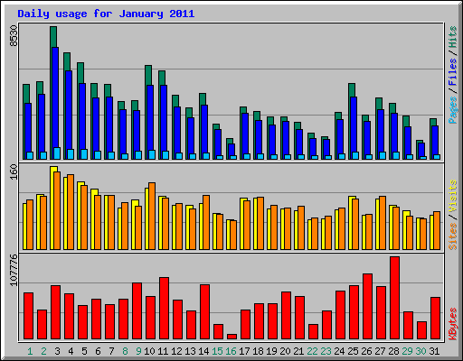 Daily usage for January 2011